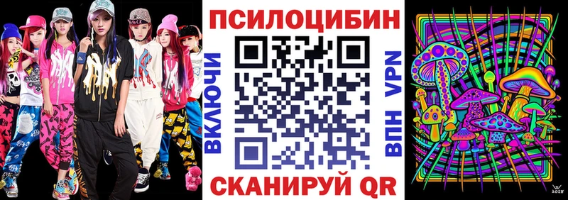 магазин продажи наркотиков  Оса  ссылка на мегу ссылка  Псилоцибиновые грибы мухоморы 
